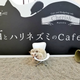 Illustration for article titled This Japanese Cat Cafe Also Has Hedgehogs